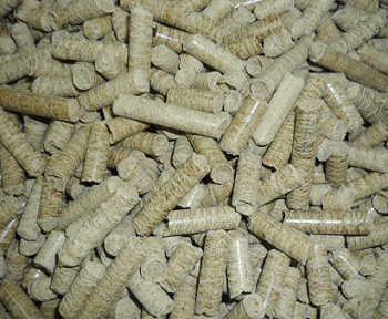 Trấu nén viên Wood Pellets giải pháp năng lượng mới