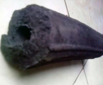Than Sinh Khối