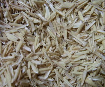 Vỏ trấu nguyên liệu